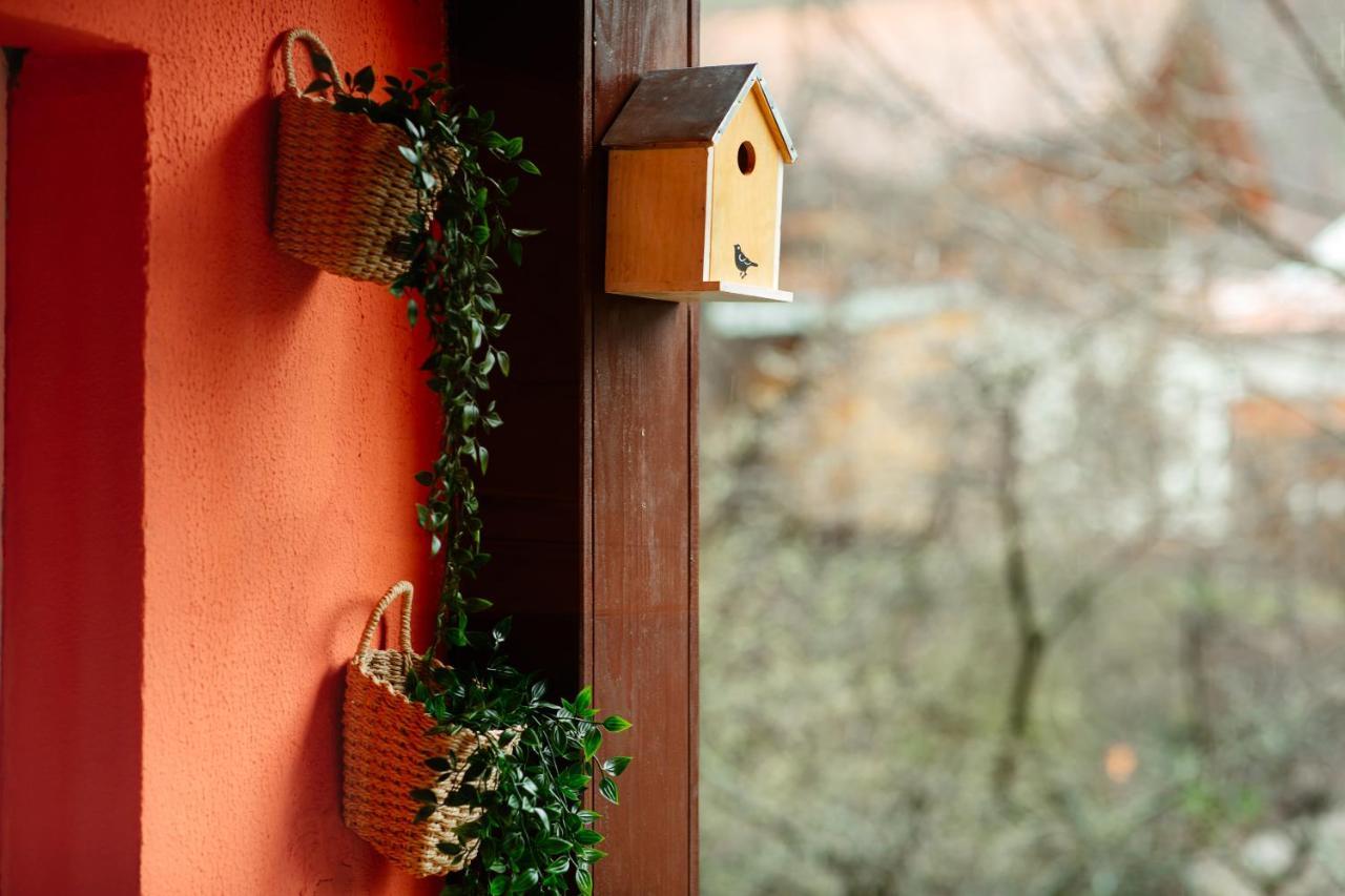 Home & Garden With Stunning View Sinaia Eksteriør billede